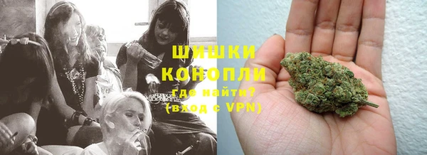 трава Костерёво