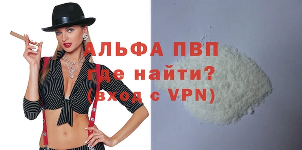 прущие грибы Корсаков