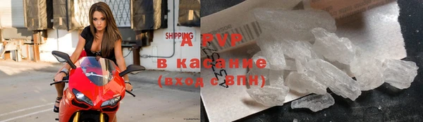 амф Козельск
