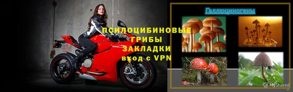 гидра Коряжма