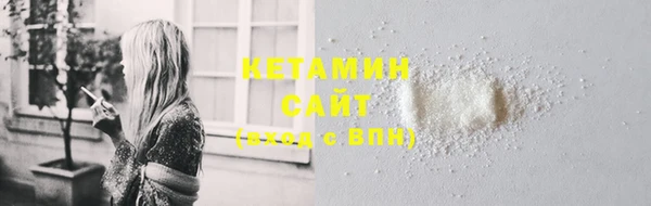 прущие грибы Корсаков