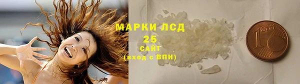гидра Коряжма