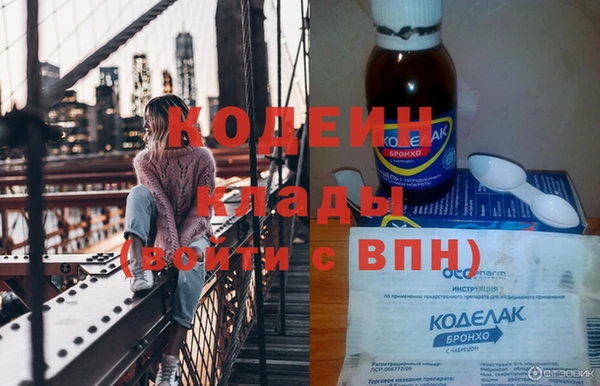 прущие грибы Корсаков