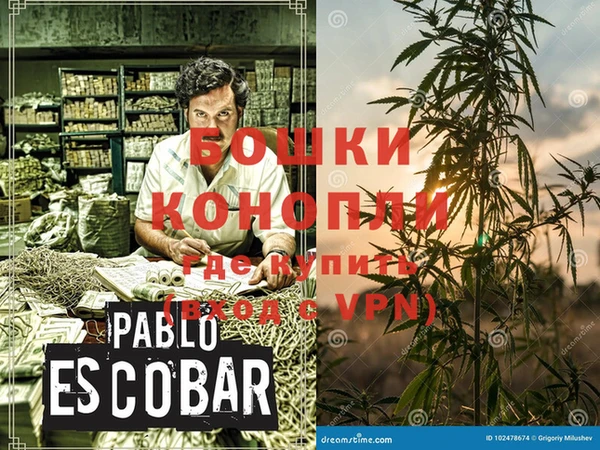 прущие грибы Корсаков