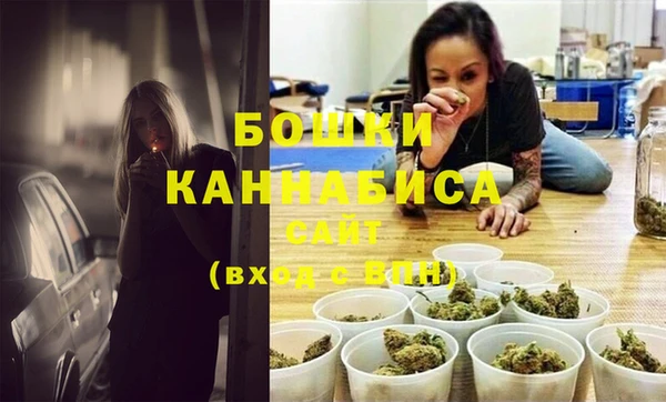 прущие грибы Корсаков