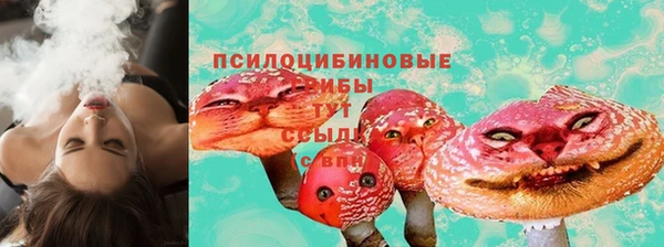 прущие грибы Корсаков