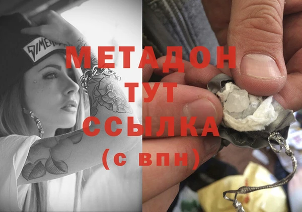 прущие грибы Корсаков