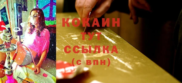 гидра Коряжма