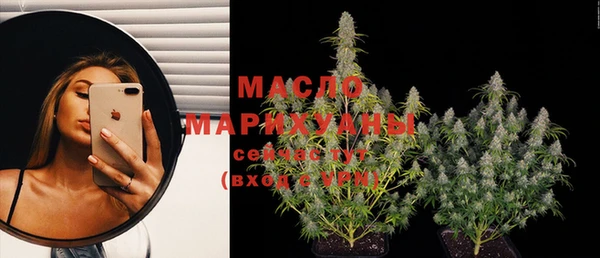 гидра Коряжма