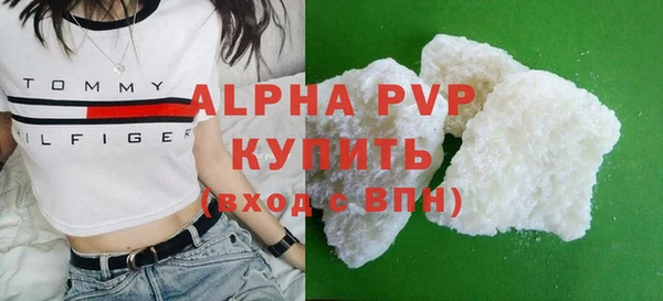 прущие грибы Корсаков